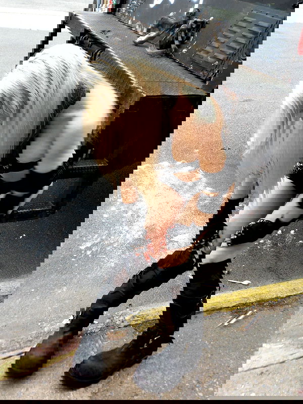 rchhhll rchhhll archive image