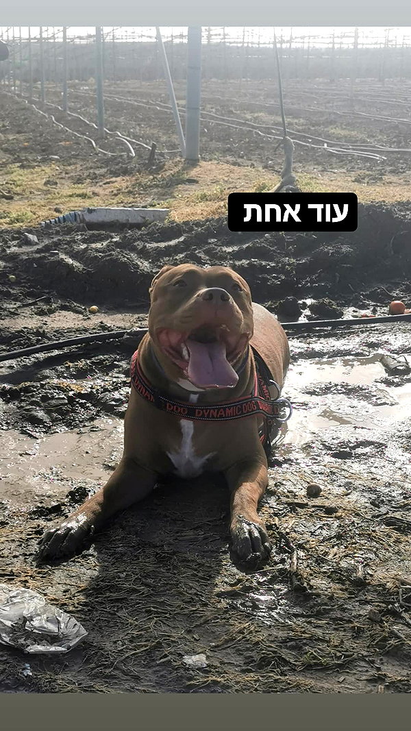 tinapavlov.sky instagram image archive image