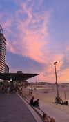 anya_shtril Altpins Profile Picture