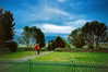 bugz4brainz Altpins Profile Picture