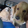 muze Altpins Profile Picture