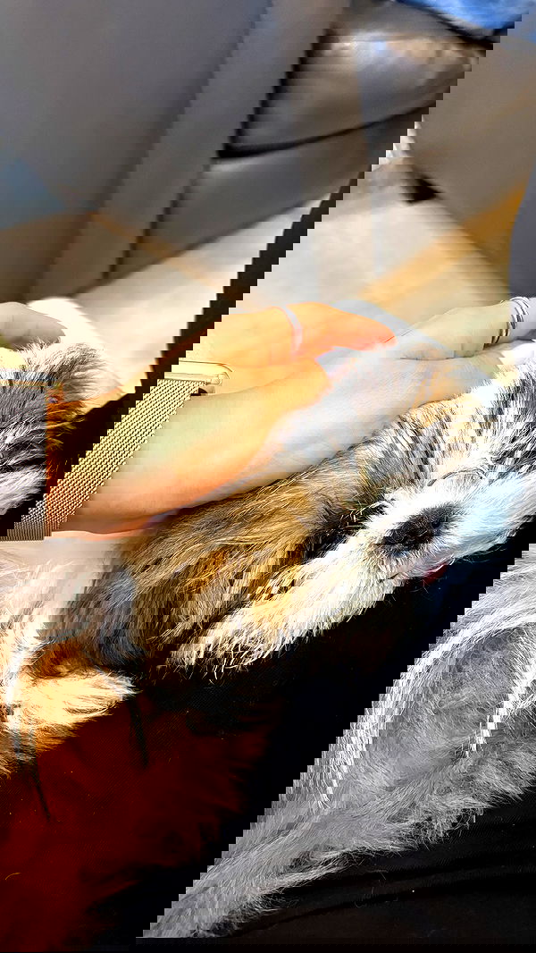 noammalka___ noammalka___ archive image