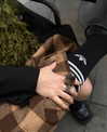 vollkova__ Altpins Profile Picture