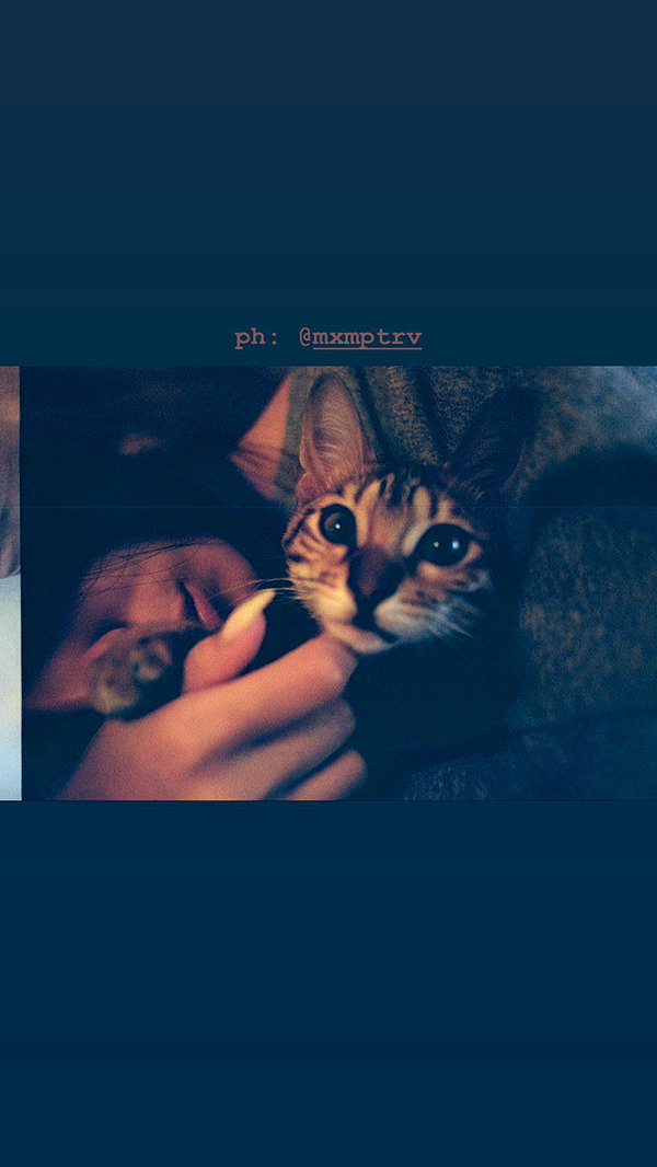 sabiyo instagram image archive image