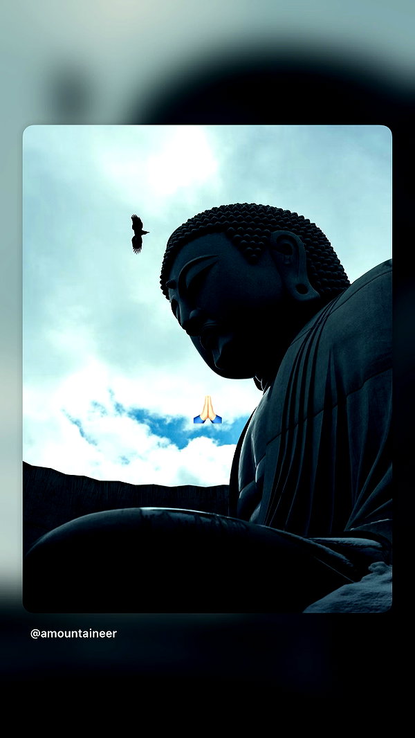 Archived image from @ninja.tactic on Instagram