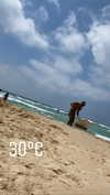 nicole_ac Altpins Profile Picture