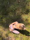 katrina.zaiceva Altpins Profile Picture