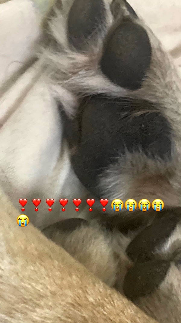 emily_new2 instagram image archive image