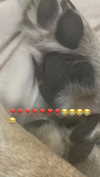 emily_new2 Altpins Profile Picture