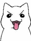 cata.leyah Altpins Profile Picture