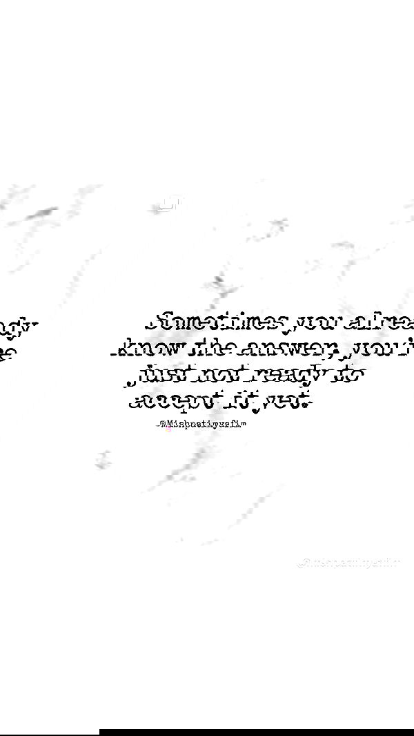 _lil_noa_ _lil_noa_ archive image