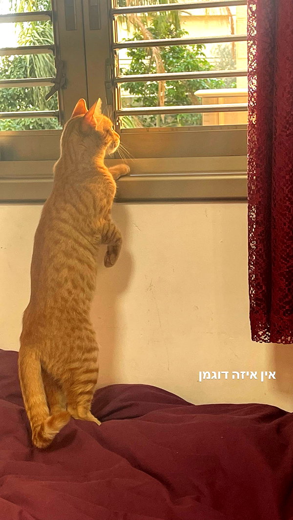 eva_romanovski instagram image archive image
