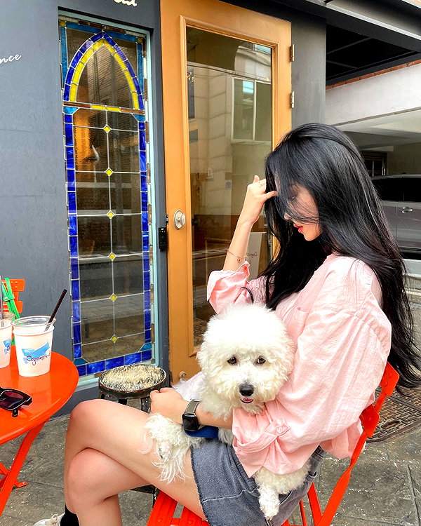 daxbin instagram image archive image