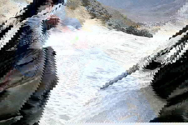 zommmbri zommmbri archive image