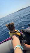 1vecua Altpins Profile Picture