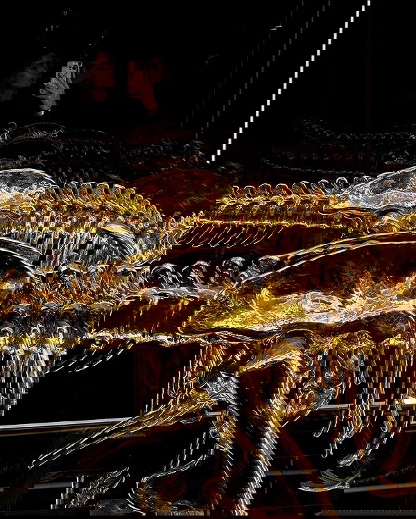 taylor.creeden taylor.creeden archive image