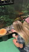 shay_livni Altpins Profile Picture