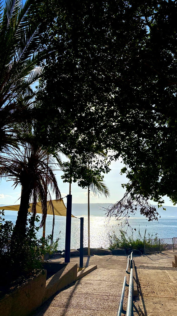 shirelokavi instagram image archive image