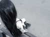daaarkina Altpins Profile Picture