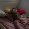 orman.mariee Altpins Profile Picture