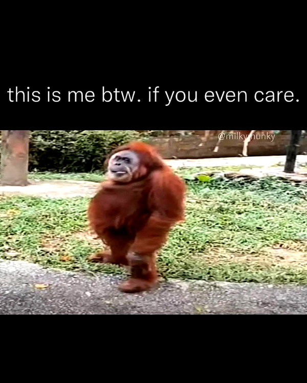 leanbeefpatty instagram image archive image