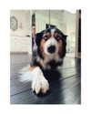 katehudson Altpins Profile Picture
