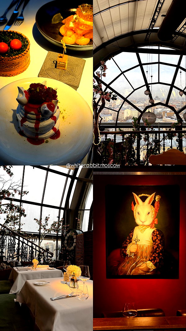 alishevs instagram image archive image