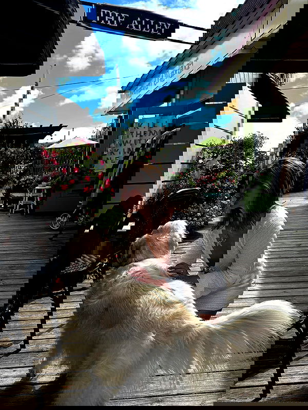 taylor.creeden taylor.creeden archive image