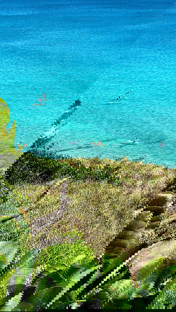 taylor.creeden taylor.creeden archive image