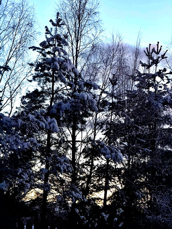 howeversnowy instagram image archive image