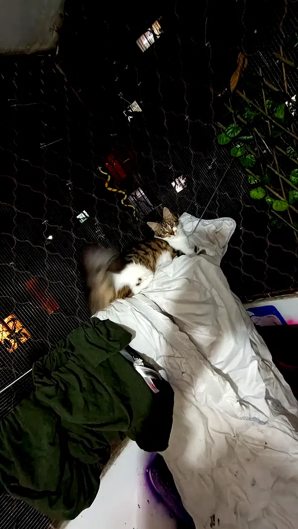 moonyyyya moonyyyya archive image