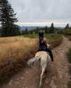 karin_orhov Altpins Profile Picture