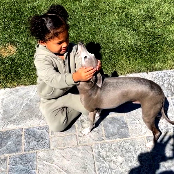 kyliejenner instagram image archive image