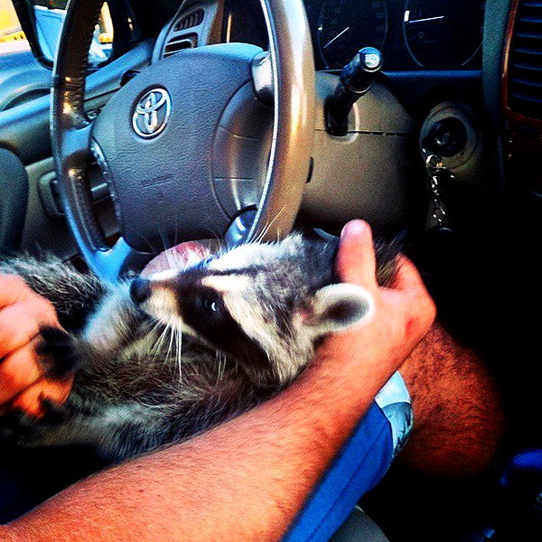 sychevskaya instagram image archive image
