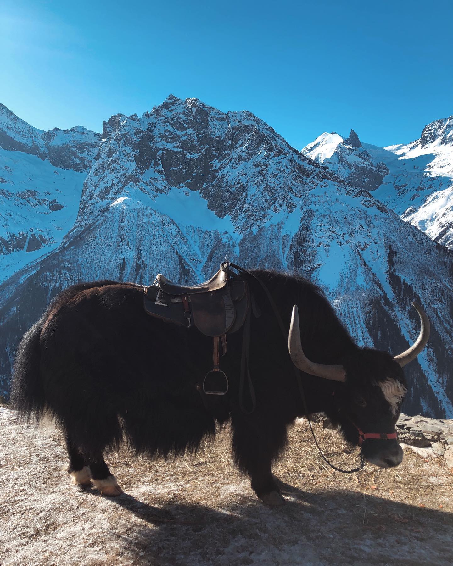 kkulakovaa instagram image archive image