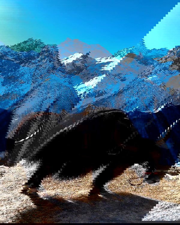 kkulakovaa image ~ Altpins