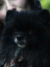 katrina.zaiceva Altpins Profile Picture