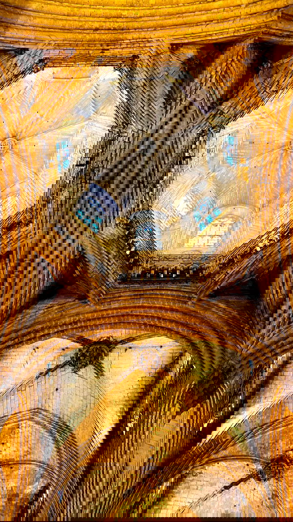 taylor.creeden taylor.creeden archive image