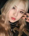 allissashin Altpins Profile Picture