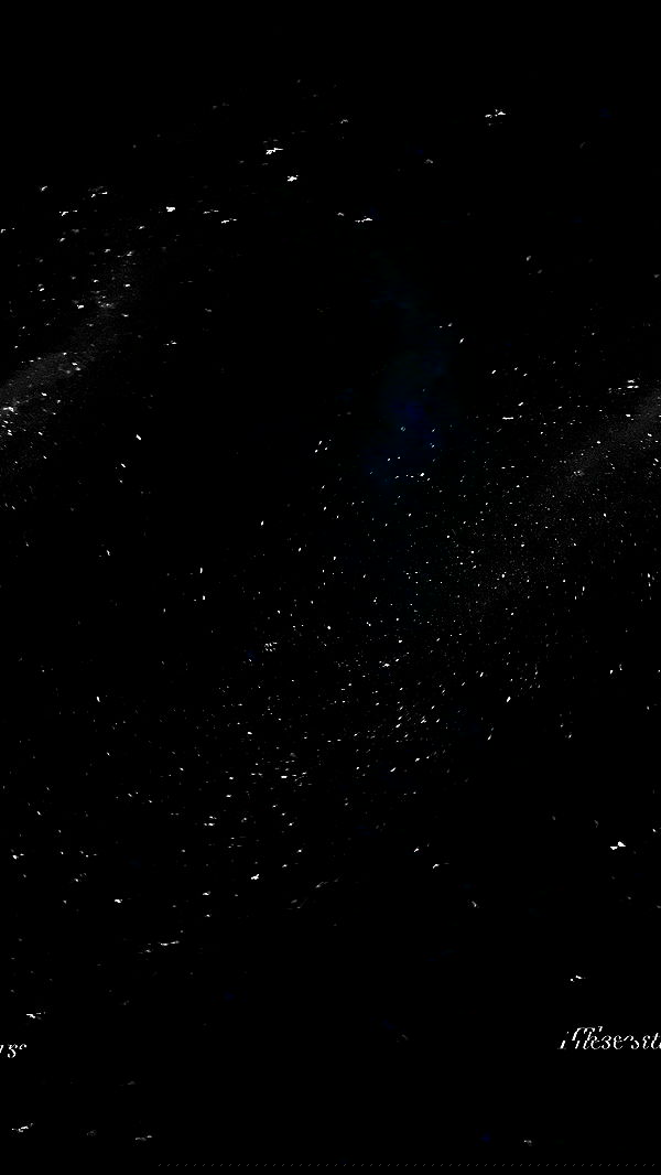 taylor.creeden taylor.creeden archive image