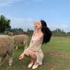 daxbin Altpins Profile Picture
