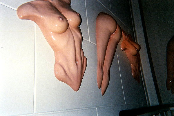 shirelokavi instagram image archive image