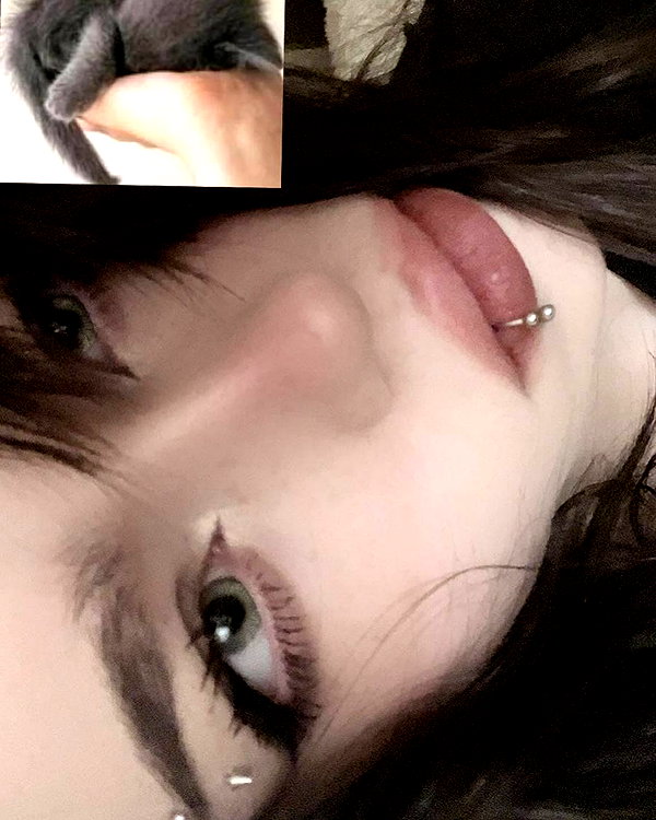 l1zev instagram image archive image