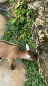 _mashachka_ Altpins Profile Picture