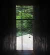 jiw_____n Altpins Profile Picture
