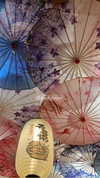 __yaheli_ Altpins Profile Picture