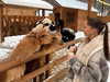 ariana_vomi Altpins Profile Picture
