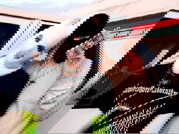 annfigmax image ~ Altpins