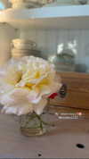 ellaailiff Altpins Profile Picture