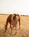 alishevs Altpins Profile Picture